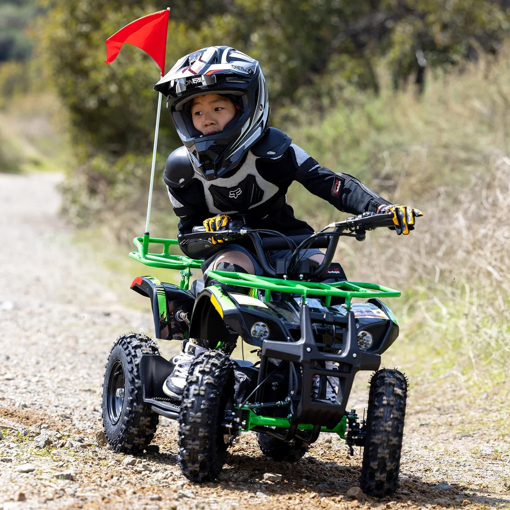 Aoemoe 500W 36V Battery-Powered Ride-On Off-Road 4-Wheeler �C 15 Mile Range, Flame