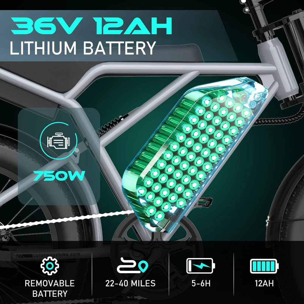 COLORWAY 750W 20"x4.0 Fat Tire Electric Bike, 48V 15Ah Battery, Off-road E-Bike for Adults, UL2849 Certified