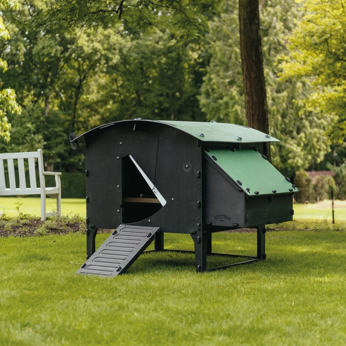 Chicken Coop