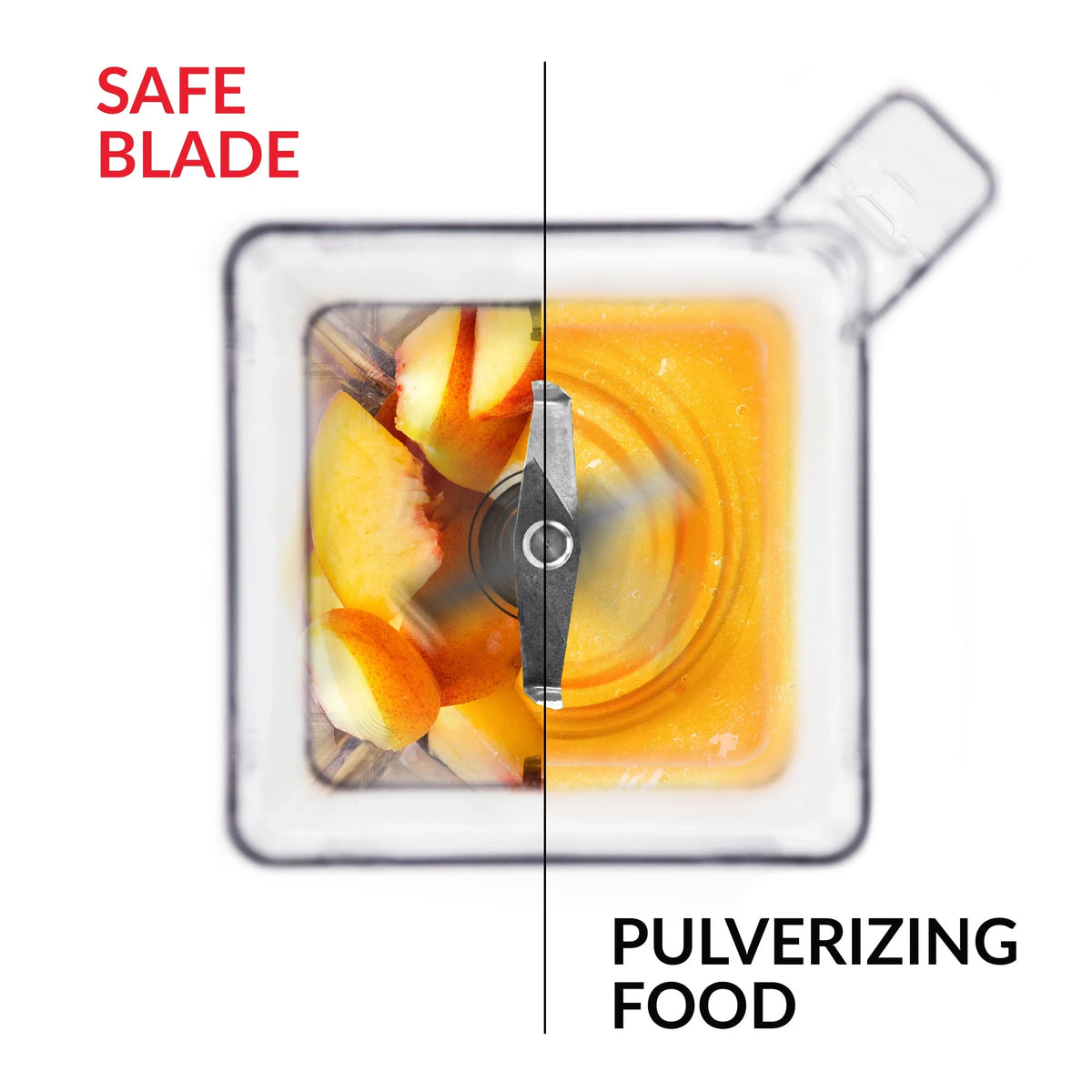 Blendtec Professional 800 - Blender - black