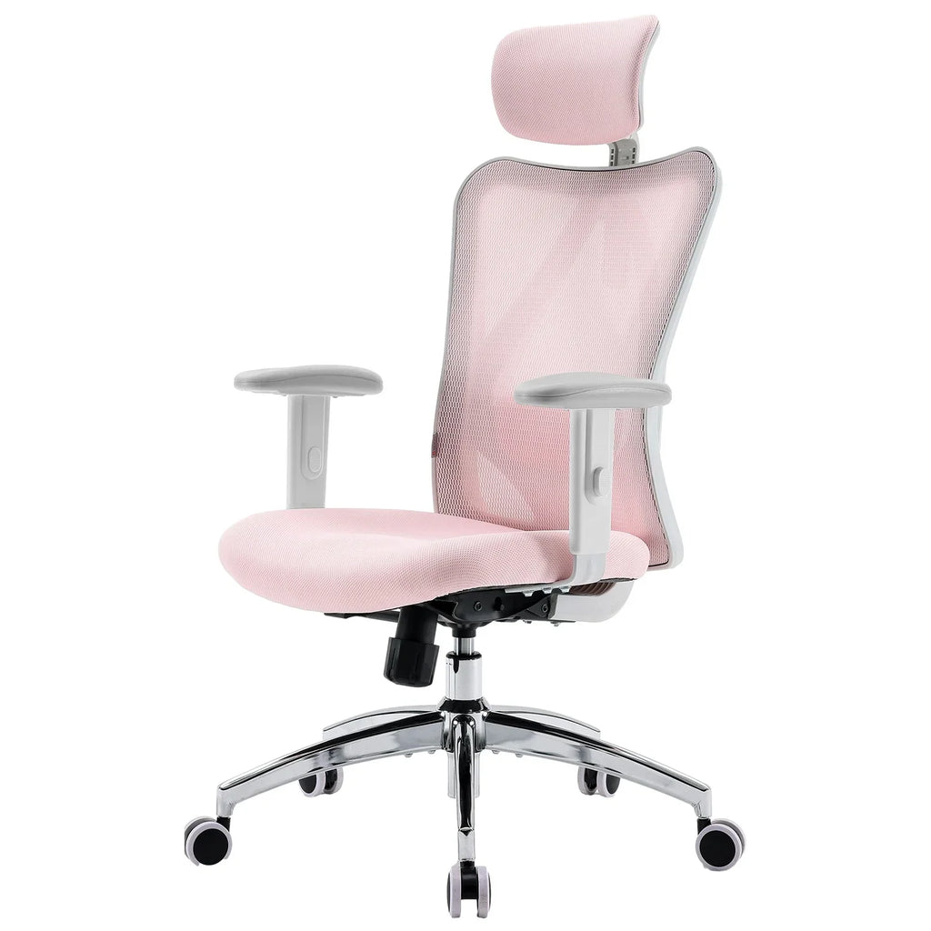 SIHOO M18 Mesh Ergonomic Office Chair with Adjustable Lumbar Support, High Back, Black