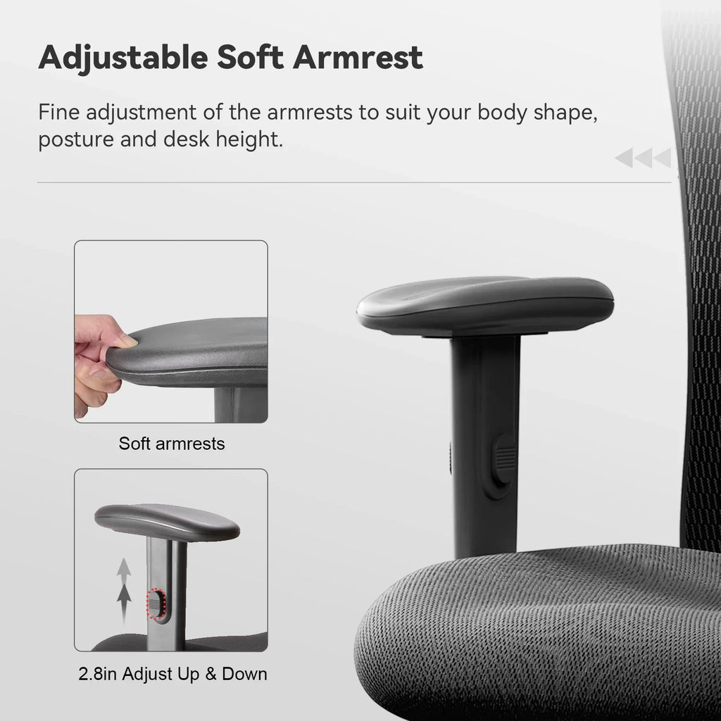 SIHOO M18 Mesh Ergonomic Office Chair with Adjustable Lumbar Support, High Back, Black