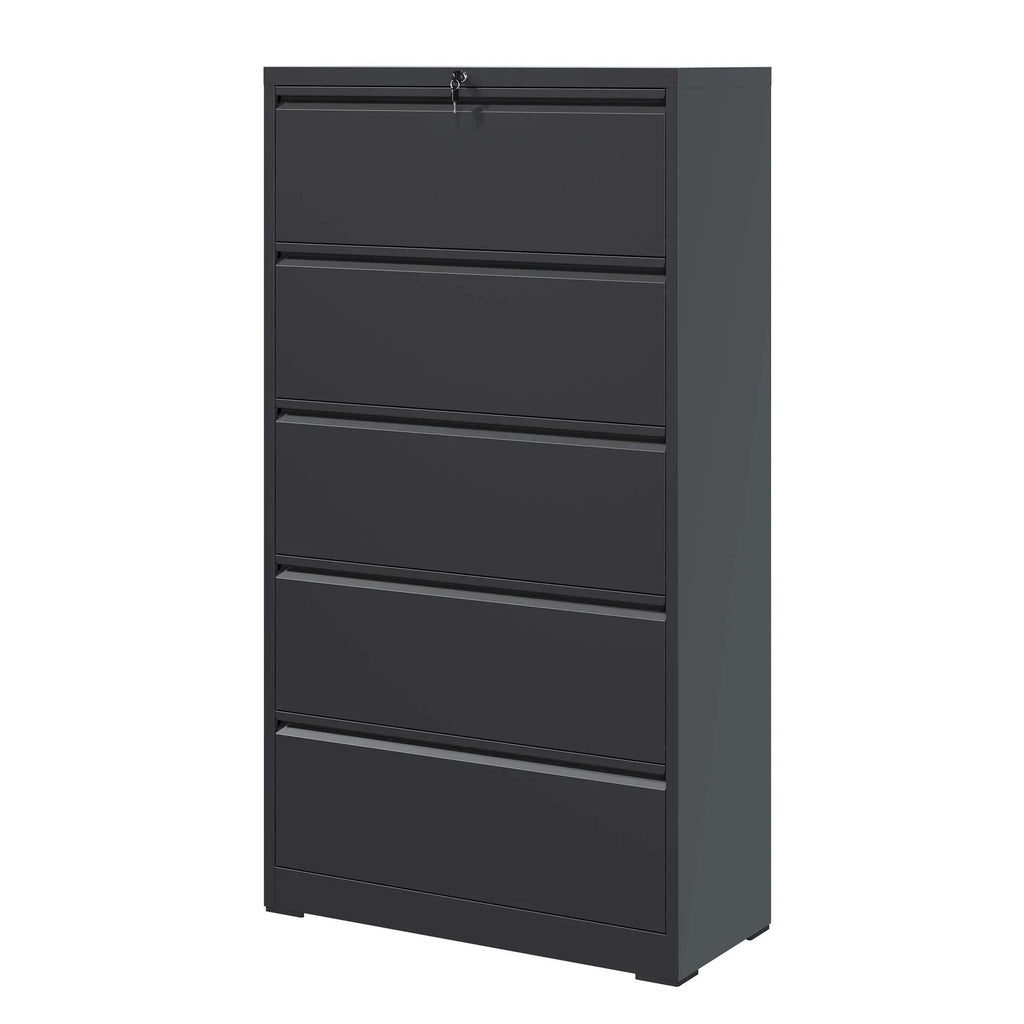 Daatumm 2-Drawer Vertical File Cabinet with Lock, Steel Metal Office & Home Storage for A4/Letter/Legal Size Documents