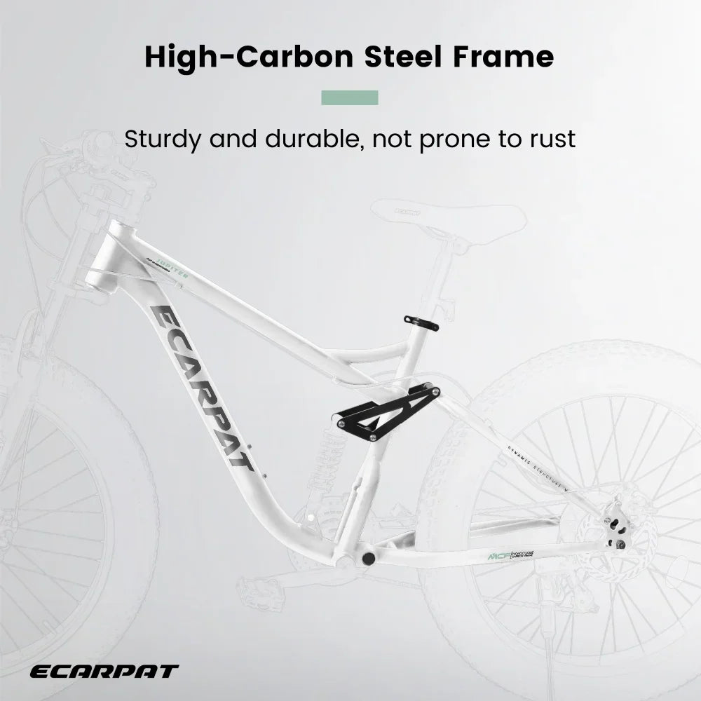 26 inch Mountain Bike for Men, 26*4" Fat Tire Mountain Bicycles,Full-Suspension 21-Speed Drivetrain with Disc Brakes