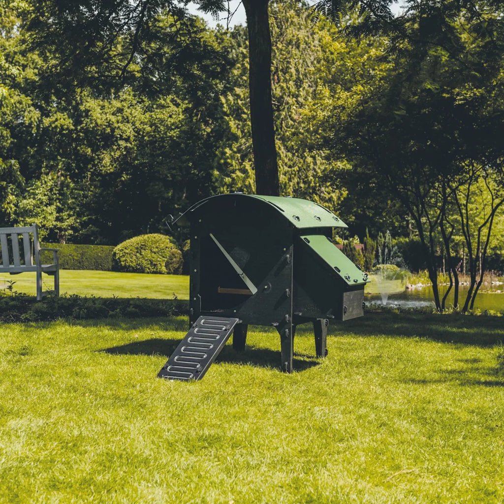 Chicken Coop