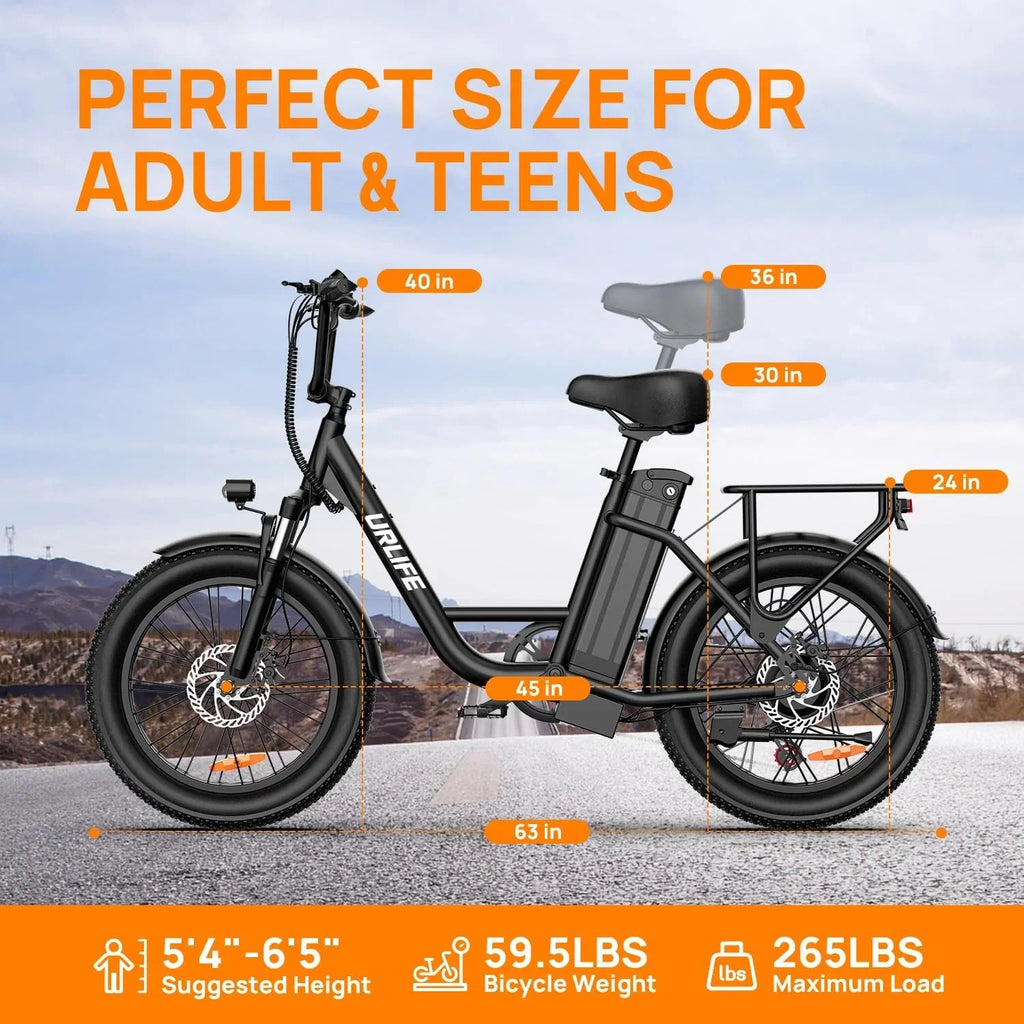 Electric Bike for Adults, 745W Peak Motor Ebike, 48V 13Ah Removable Battery, 20MPH,80 Miles Max, 20" Fat Tire Electric Bicycle with Colorful Display, All-Terrain E-Bike for Adults and Teens