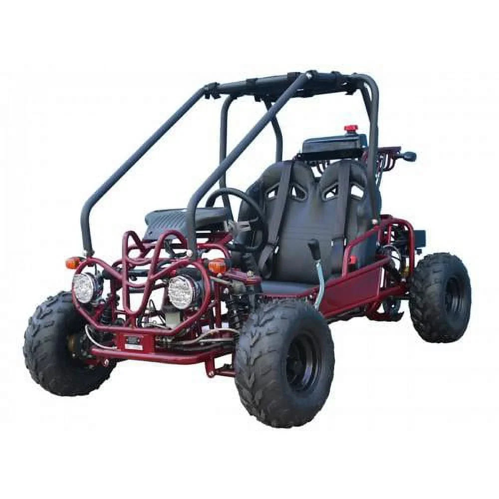 Tao Tao GK110 110cc Gas Go-Kart Youth Automatic with Reverse Red