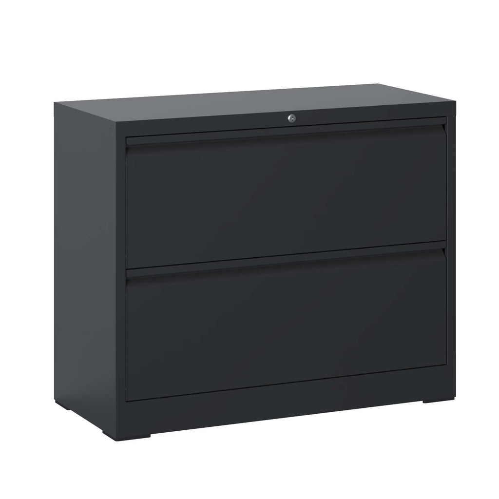 Daatumm 2-Drawer Vertical File Cabinet with Lock, Steel Metal Office & Home Storage for A4/Letter/Legal Size Documents