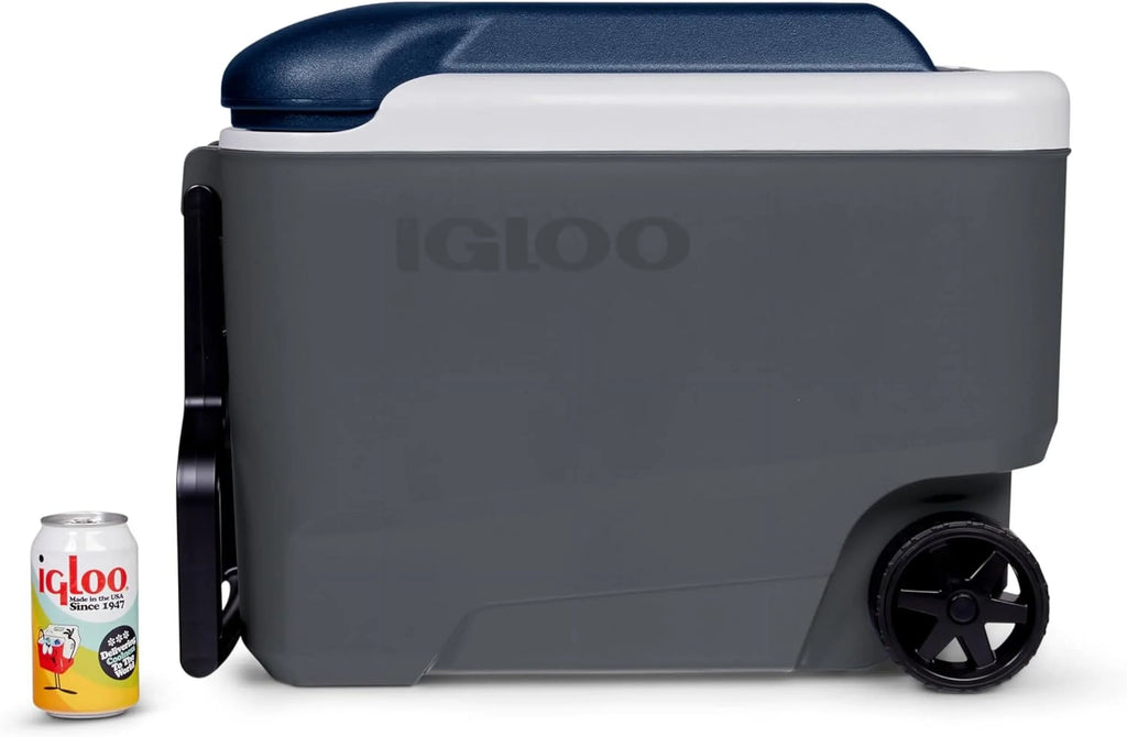 Igloo Maxcold 40 Roller (Ash Gry.Wht.Aegean Sea.Blk) 00034814, 38 Litre