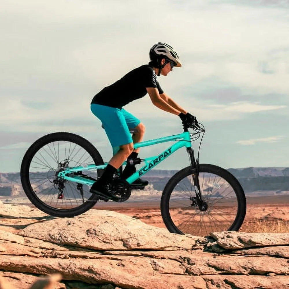 Raistyw 26 inch Mountain Bike for Adult, Shimano 21-Speed Steel Frame Bicycle with Disc Brakes and Shock Fork, Blue and Green