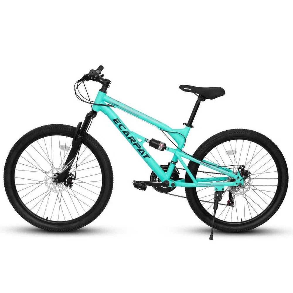 Raistyw 26 inch Mountain Bike for Adult, Shimano 21-Speed Steel Frame Bicycle with Disc Brakes and Shock Fork, Blue and Green