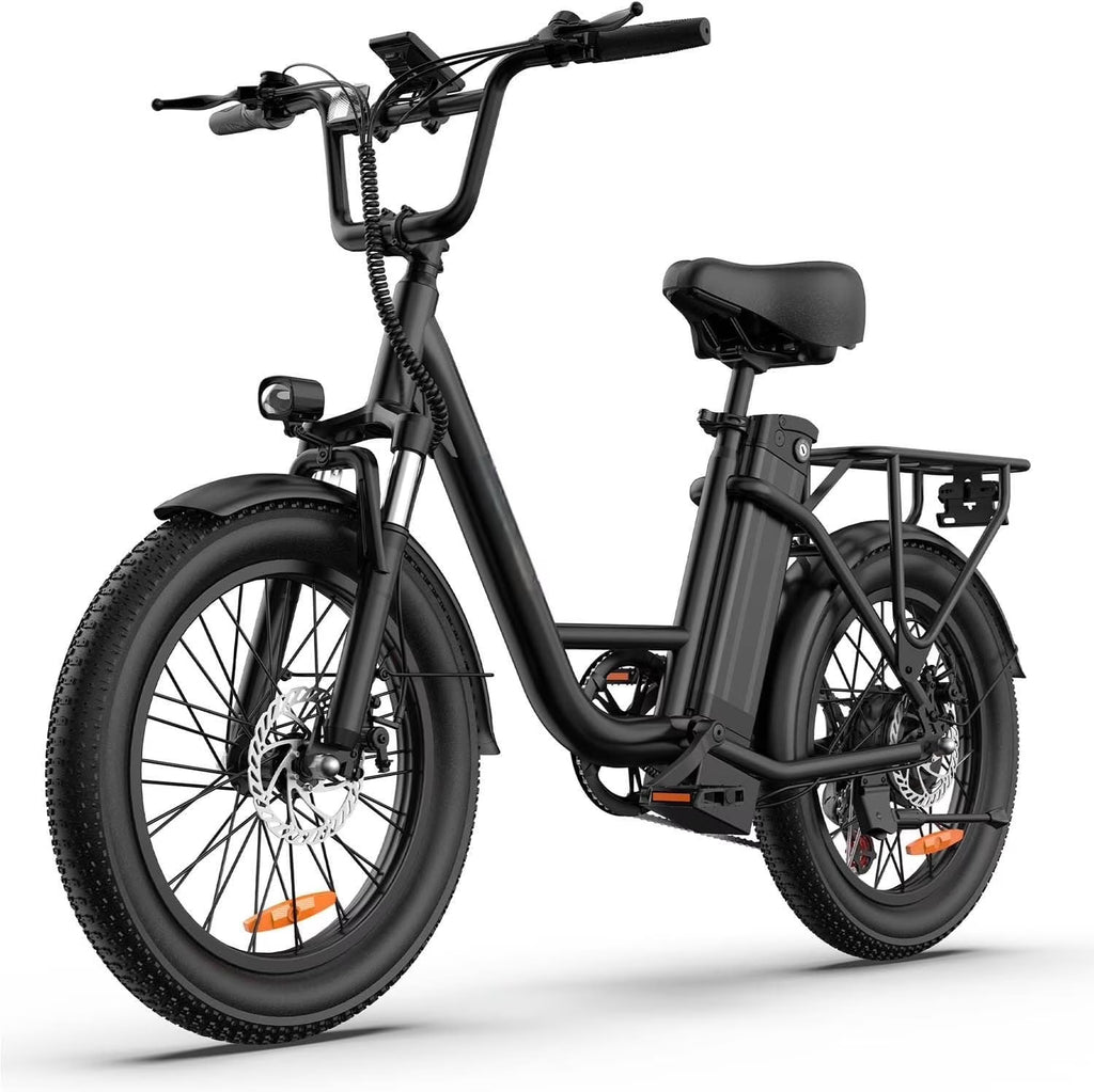 Electric Bike for Adults, 745W Peak Motor Ebike, 48V 13Ah Removable Battery, 20MPH,80 Miles Max, 20" Fat Tire Electric Bicycle with Colorful Display, All-Terrain E-Bike for Adults and Teens
