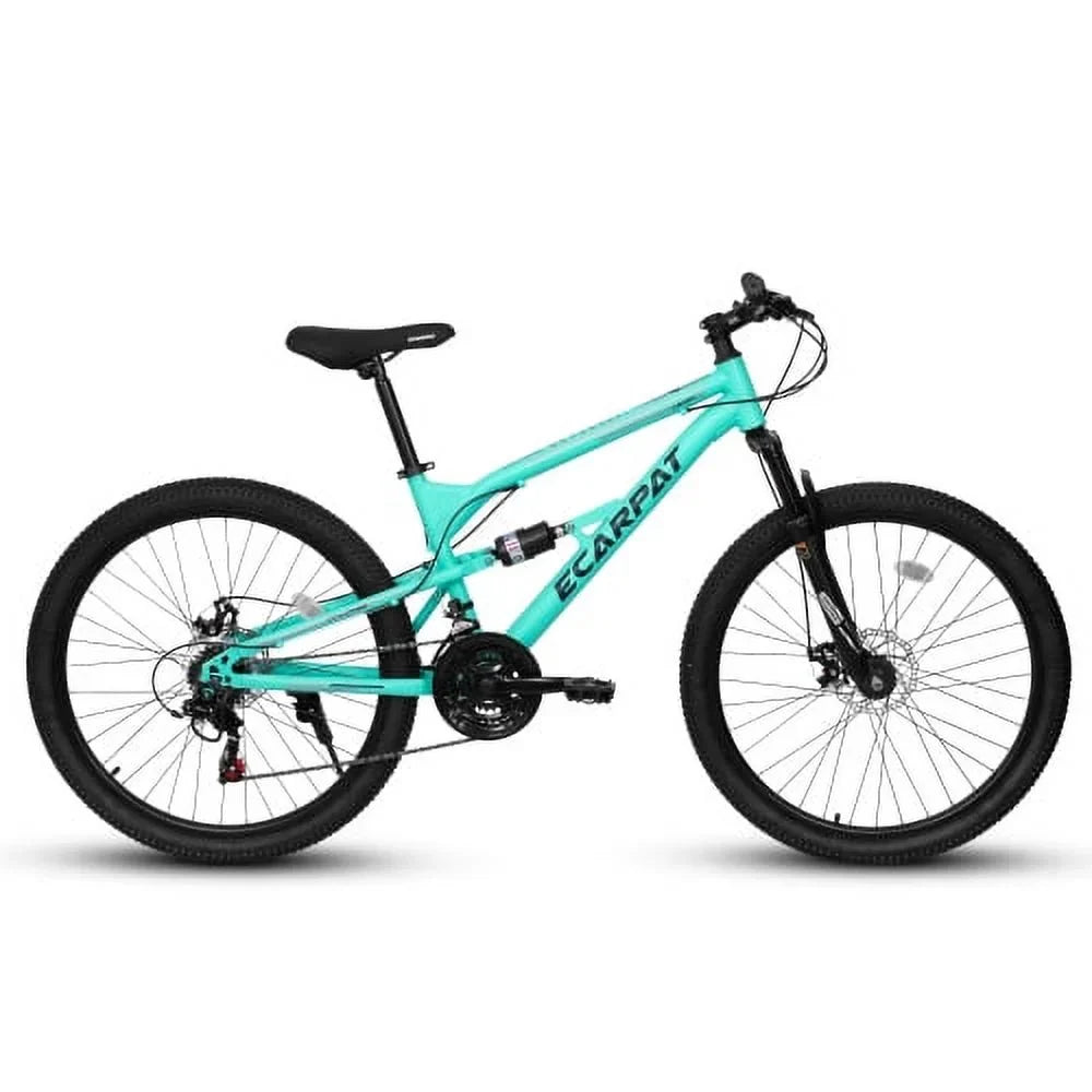 Raistyw 26 inch Mountain Bike for Adult, Shimano 21-Speed Steel Frame Bicycle with Disc Brakes and Shock Fork, Blue and Green
