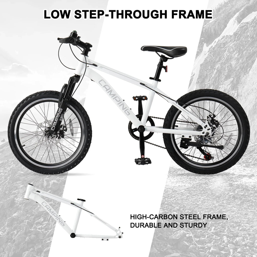 Ktaxon 20" Mountain Bike, 7 Speed Bike with Disc Brakes, Black