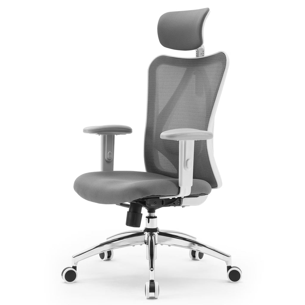 SIHOO M18 Mesh Ergonomic Office Chair with Adjustable Lumbar Support, High Back, Black