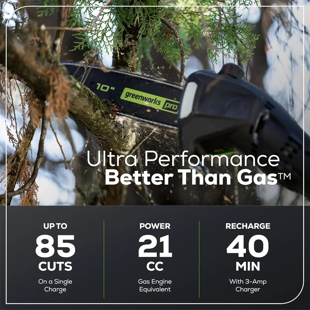 Greenworks 60V 10" Brushless Cordless Pole Saw, 14.5 Ft. Reach, 2.0Ah Battery & Charger