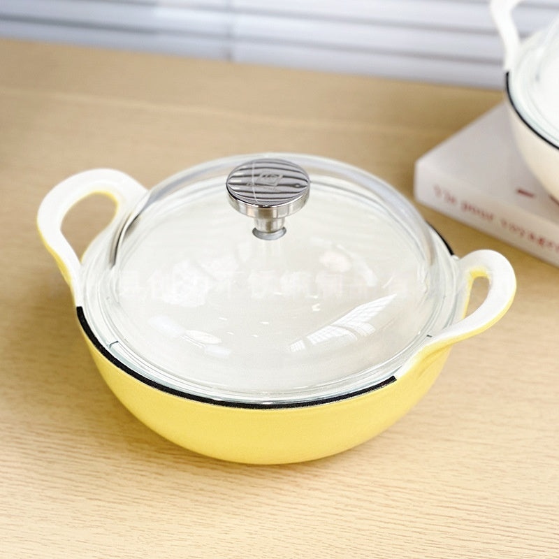Enamel Cast Iron Dual Handle Stew Pot