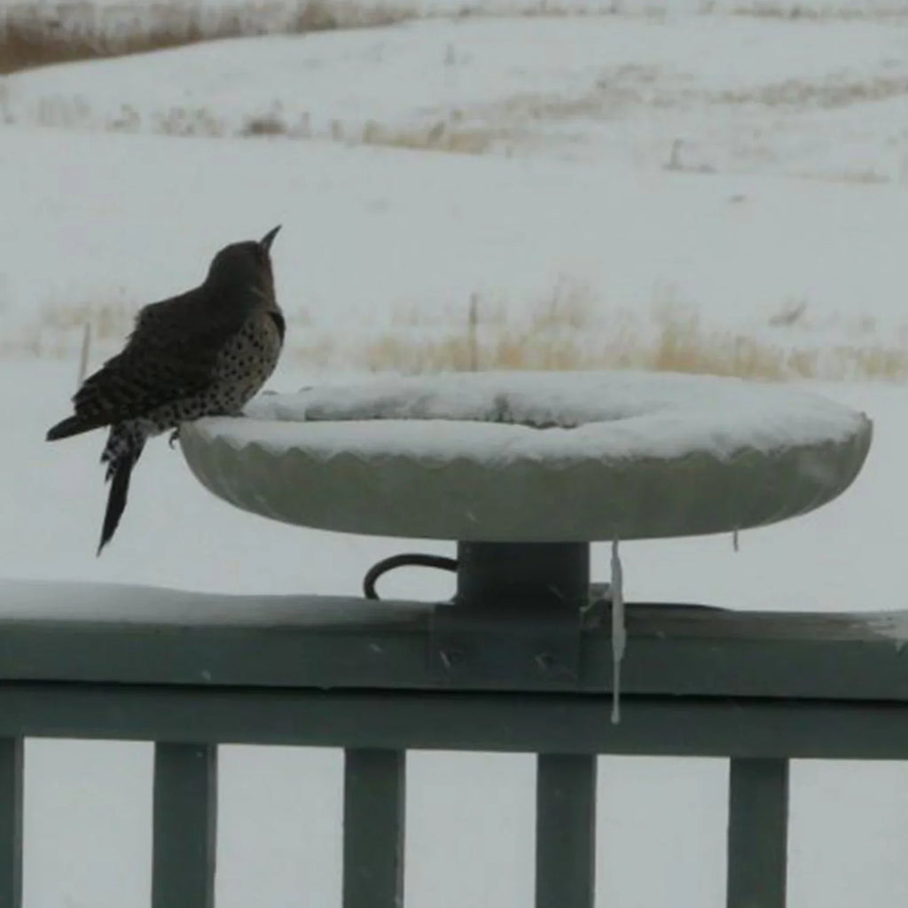 Farm Innovators Outdoor Heated Bird Bath, 120W Stone Birdbath w/ Deck Mount