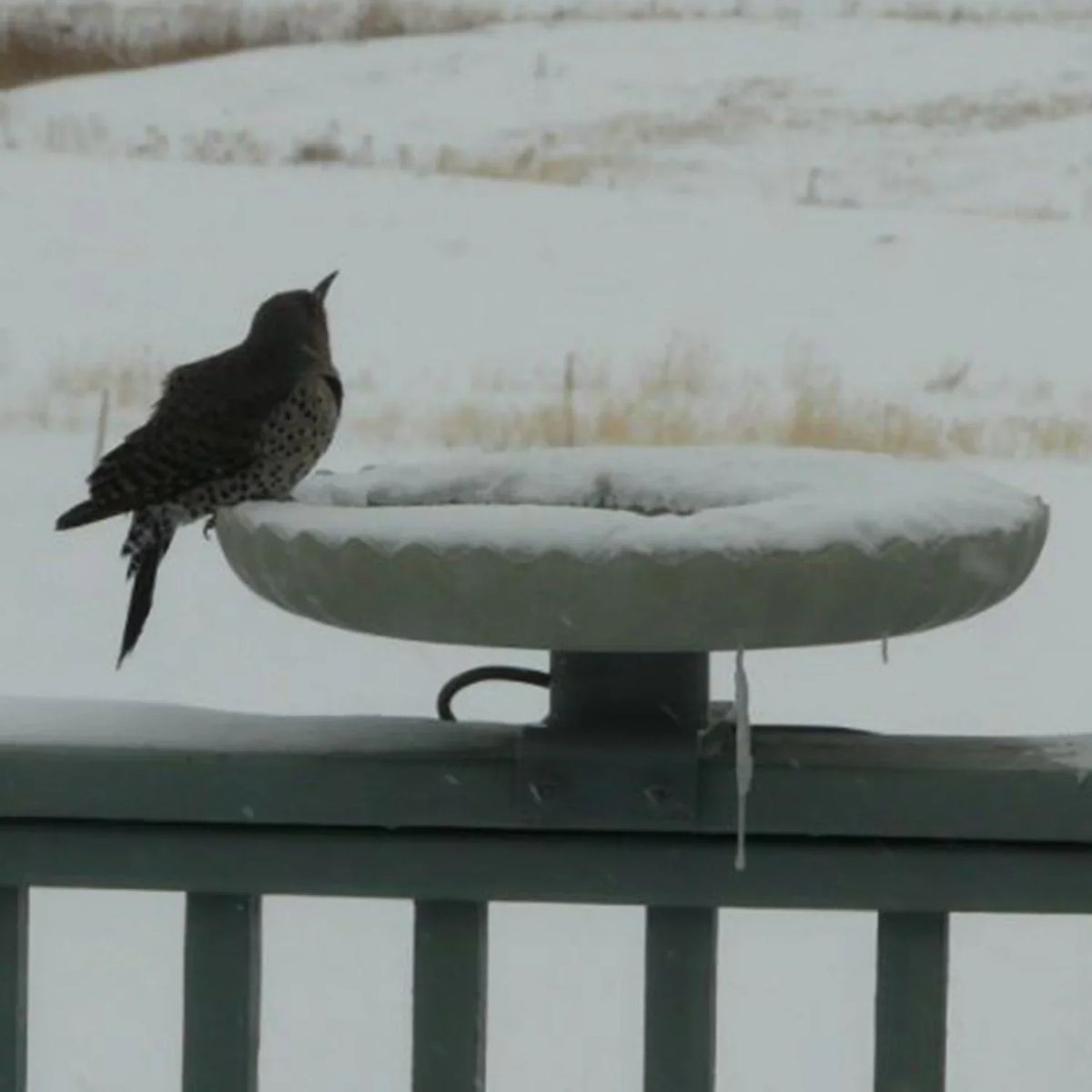 Farm Innovators Outdoor Heated Bird Bath, 120W Stone Birdbath w/ Deck Mount