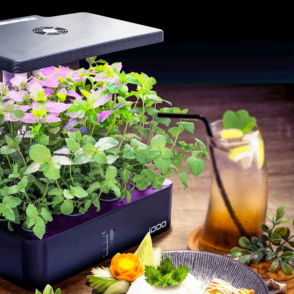 iDOO 12Pods Indoor Herb Garden Kit, Hydroponics Growing System with LED Grow Light