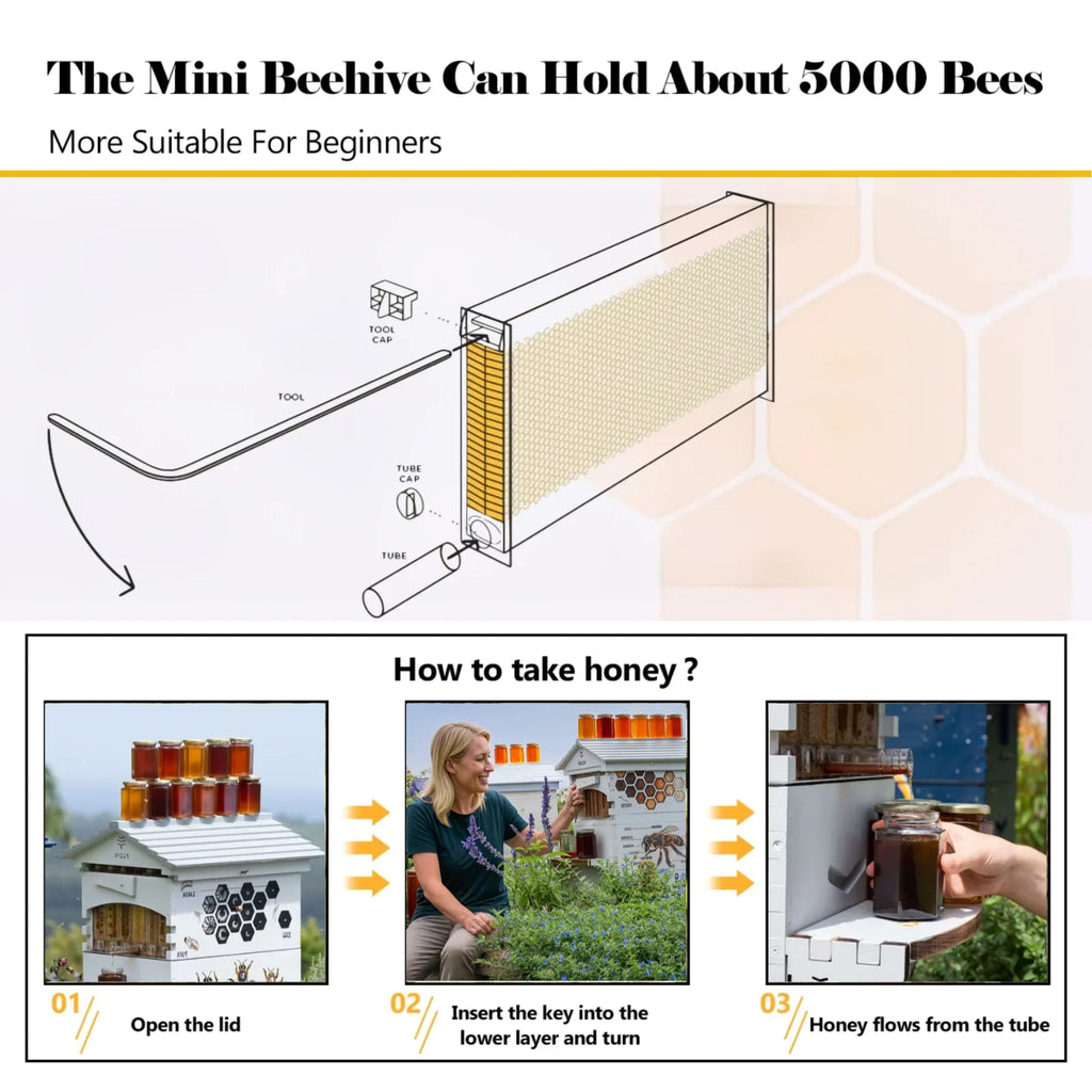 AUSHIVE Wax Coated Cedarwood Bee Beehive Kit with 4 Beehive Frames & 6 Brood Frames, Beige
