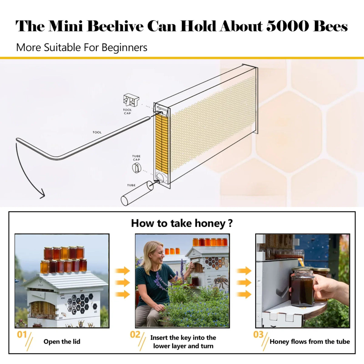 AUSHIVE Wax Coated Cedarwood Bee Beehive Kit with 4 Beehive Frames & 6 Brood Frames, Beige