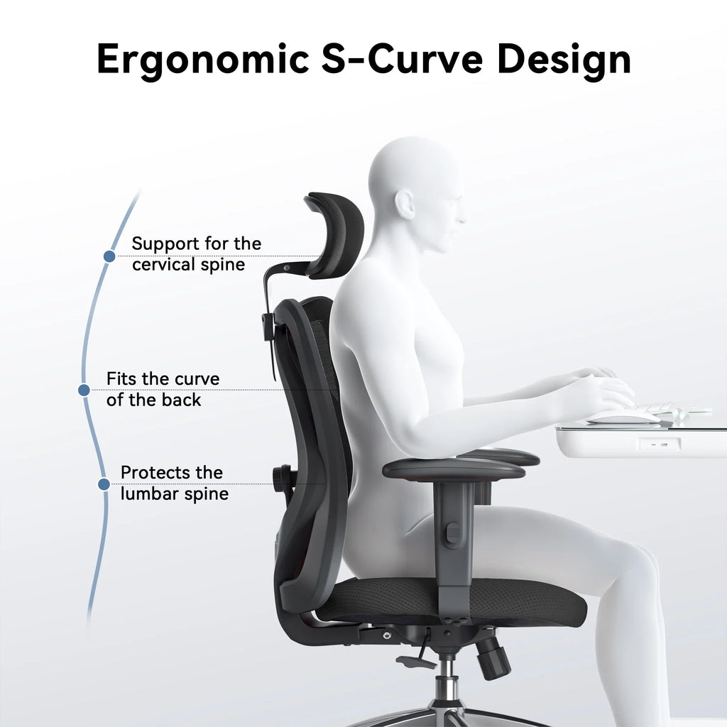 SIHOO M18 Mesh Ergonomic Office Chair with Adjustable Lumbar Support, High Back, Black