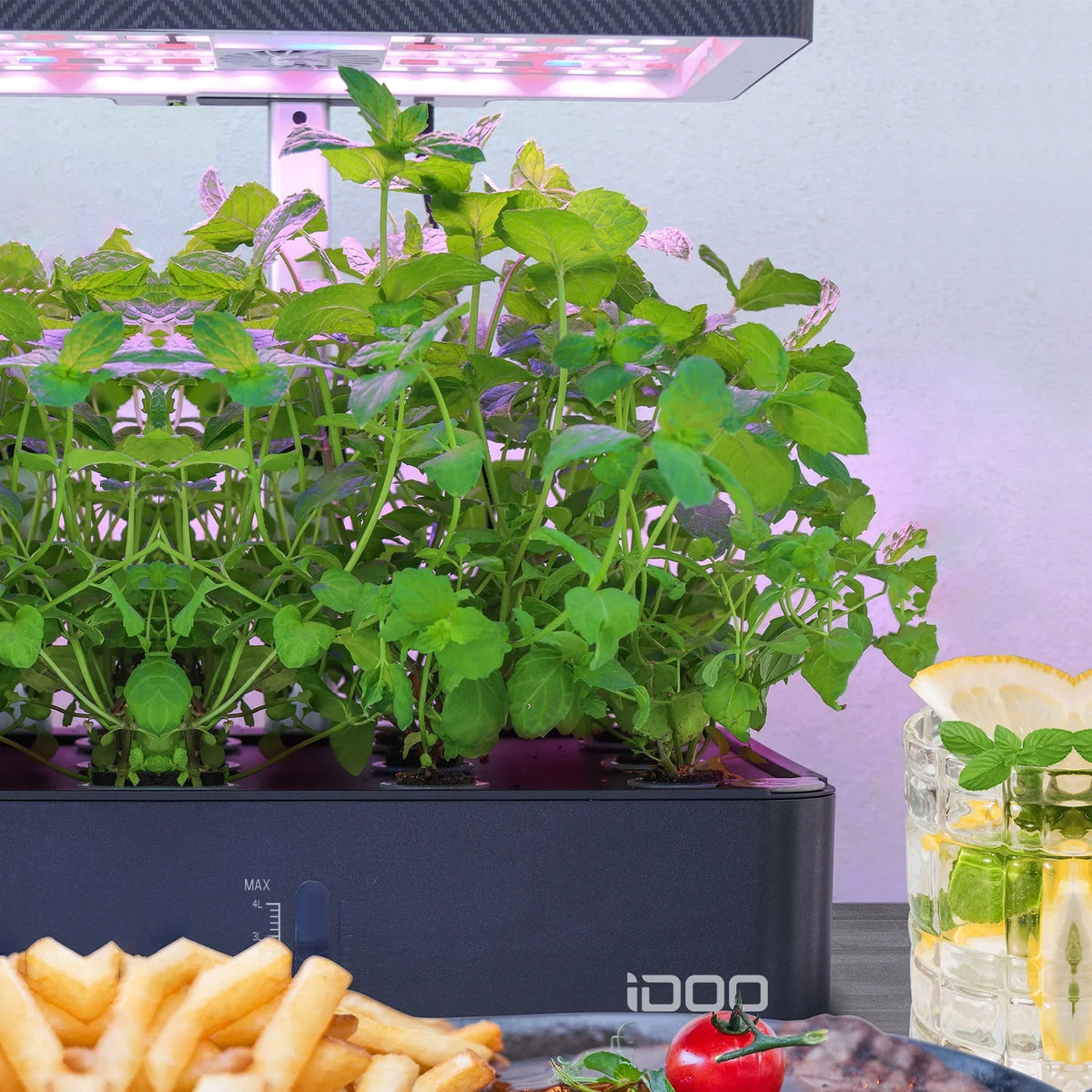 iDOO 12Pods Indoor Herb Garden Kit, Hydroponics Growing System with LED Grow Light