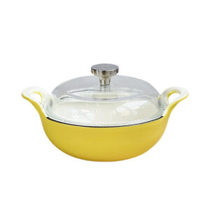 Enamel Cast Iron Dual Handle Stew Pot